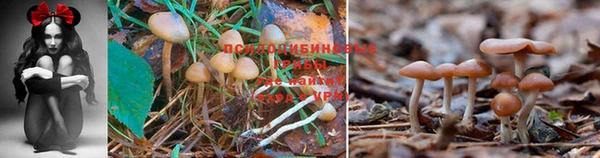 mix Армянск