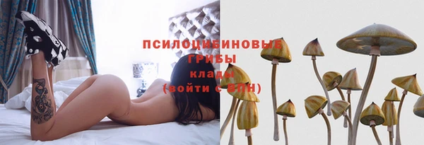 mix Армянск